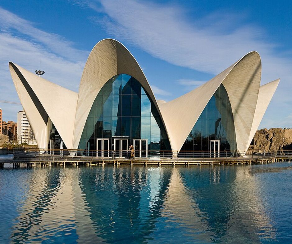 Water Spain vs Portugal