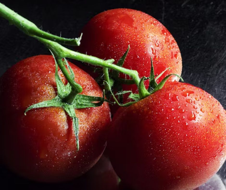 Drought-Tolerant Tomato